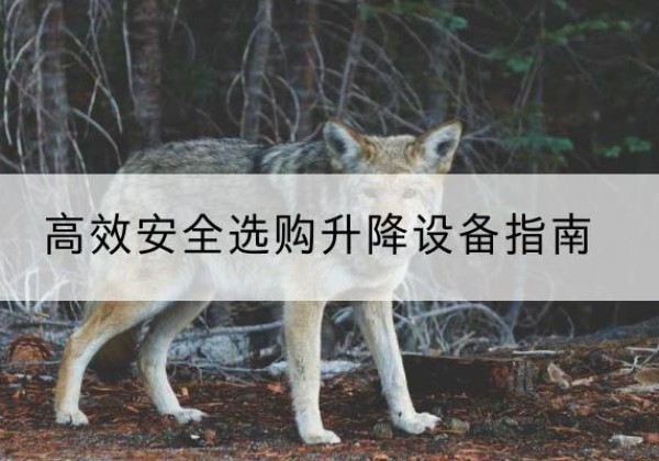 榕城升降货梯厂家推荐-*安全选购升降设备指南