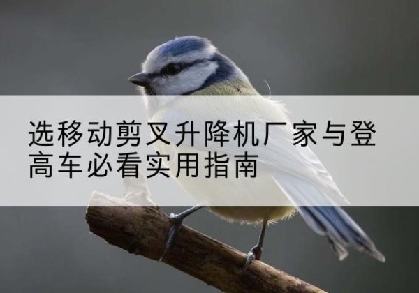榕城电动升降机厂家-选移动剪叉升降机厂家与登高车必看实用指南