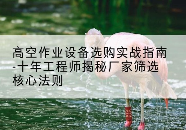 榕城剪叉式升降机厂家-高空作业设备选购实战指南-十年工程师揭秘厂家筛选核心法则